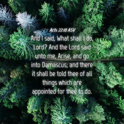 Picture 04 - Acts 22:10 ASV - And I said, What shall I do, Lord? And the Lord - Bible Verse Picture