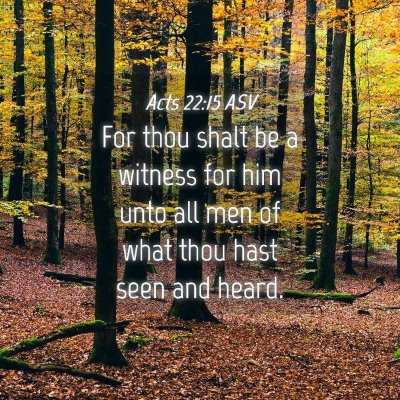 Picture 04 - Acts 22:15 ASV - For thou shalt be a witness for him unto all men - Bible Verse Picture