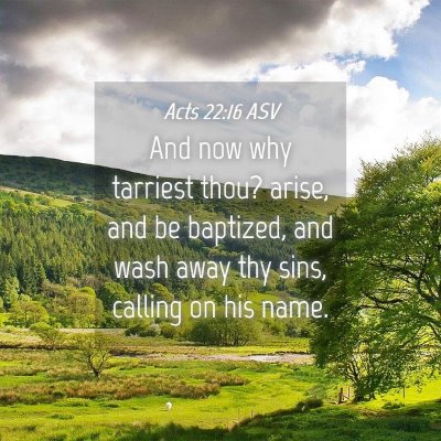 Picture 04 - Acts 22:16 ASV - And now why tarriest thou? arise, and be - Bible Verse Picture