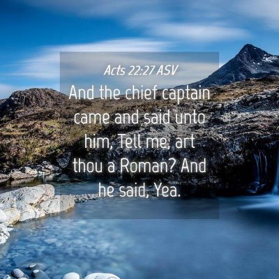 Picture 04 - Acts 22:27 ASV - And the chief captain came and said unto him, - Bible Verse Picture