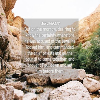 Picture 04 - Acts 22:30 ASV - But on the morrow, desiring to know the certainty - Bible Verse Picture