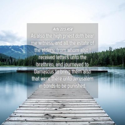 Picture 04 - Acts 22:5 ASV - As also the high priest doth bear me witness, and - Bible Verse Picture