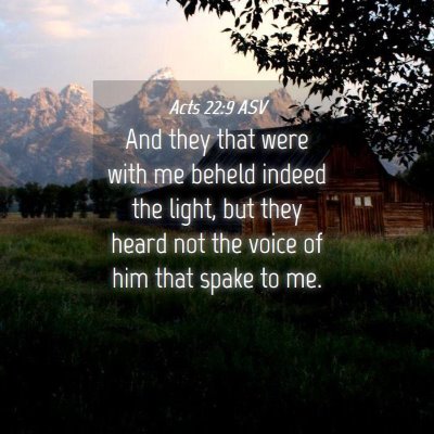Picture 04 - Acts 22:9 ASV - And they that were with me beheld indeed the - Bible Verse Picture