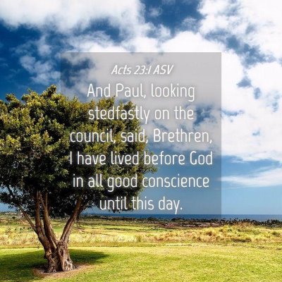 Picture 04 - Acts 23:1 ASV - And Paul, looking stedfastly on the council, - Bible Verse Picture