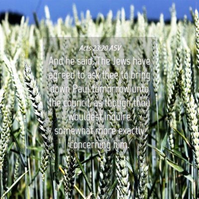 Picture 04 - Acts 23:20 ASV - And he said, The Jews have agreed to ask thee to - Bible Verse Picture