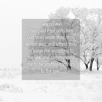 Picture 04 - Acts 23:3 ASV - Then said Paul unto him, God shall smite thee, - Bible Verse Picture