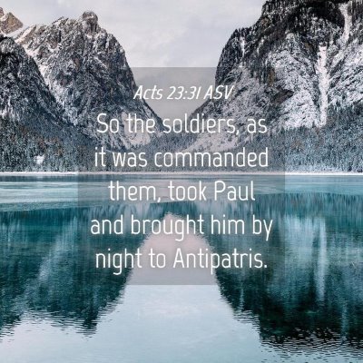 Picture 04 - Acts 23:31 ASV - So the soldiers, as it was commanded them, took - Bible Verse Picture