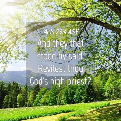 Picture 04 - Acts 23:4 ASV - And they that stood by said, Revilest thou God's - Bible Verse Picture