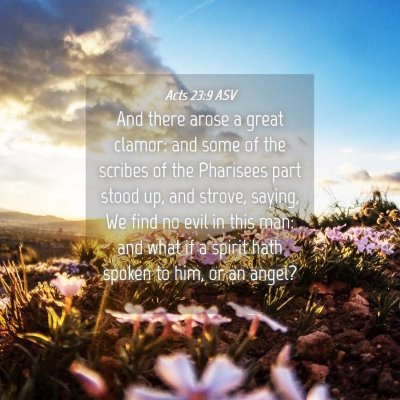 Picture 04 - Acts 23:9 ASV - And there arose a great clamor: and some of the - Bible Verse Picture