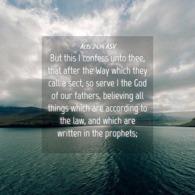 Picture 04 - Acts 24:14 ASV - But this I confess unto thee, that after the Way - Bible Verse Picture