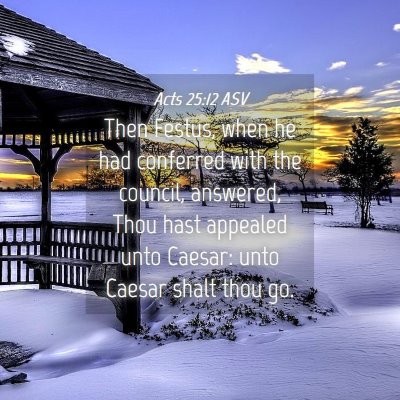 Picture 04 - Acts 25:12 ASV - Then Festus, when he had conferred with the - Bible Verse Picture