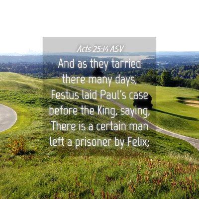 Picture 04 - Acts 25:14 ASV - And as they tarried there many days, Festus laid - Bible Verse Picture