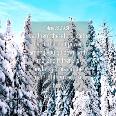 Picture 04 - Acts 25:5 ASV - Let them therefore, saith he, that are of power - Bible Verse Picture