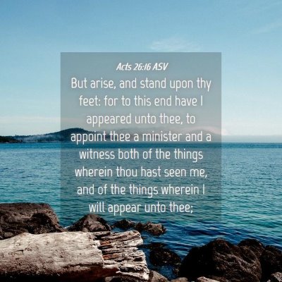 Picture 04 - Acts 26:16 ASV - But arise, and stand upon thy feet: for to this - Bible Verse Picture