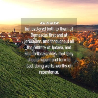 Picture 04 - Acts 26:20 ASV - but declared both to them of Damascus first and - Bible Verse Picture