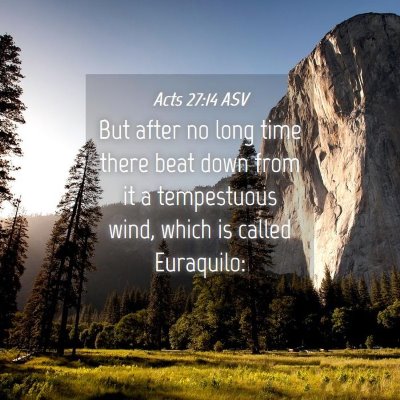 Picture 04 - Acts 27:14 ASV - But after no long time there beat down from it a - Bible Verse Picture