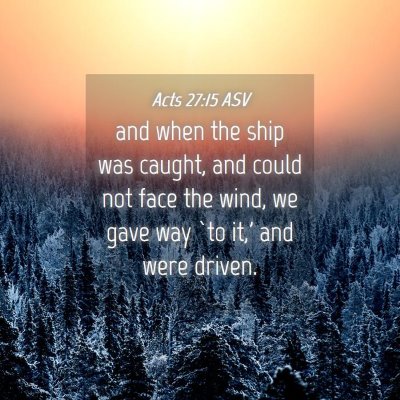 Picture 04 - Acts 27:15 ASV - and when the ship was caught, and could not face - Bible Verse Picture