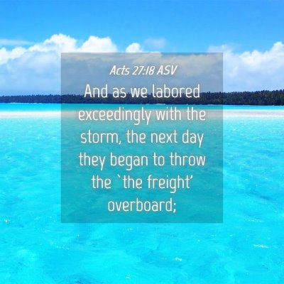 Picture 04 - Acts 27:18 ASV - And as we labored exceedingly with the storm, the - Bible Verse Picture