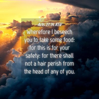 Picture 04 - Acts 27:34 ASV - Wherefore I beseech you to take some food: for - Bible Verse Picture