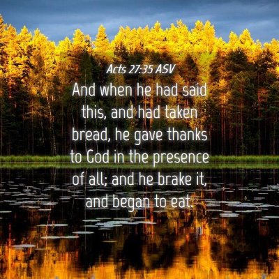 Picture 04 - Acts 27:35 ASV - And when he had said this, and had taken bread, - Bible Verse Picture