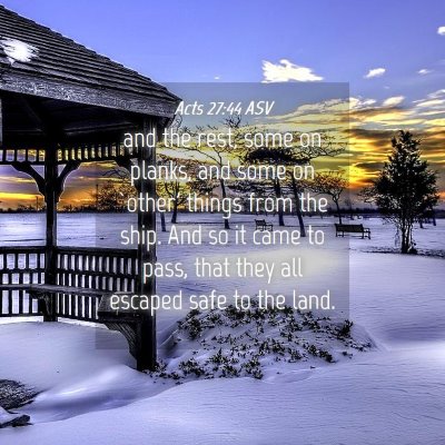 Picture 04 - Acts 27:44 ASV - and the rest, some on planks, and some on `other' - Bible Verse Picture