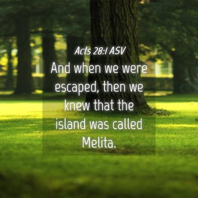 Picture 04 - Acts 28:1 ASV - And when we were escaped, then we knew that the - Bible Verse Picture