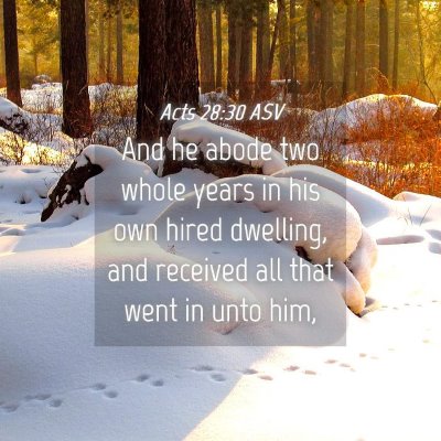 Picture 04 - Acts 28:30 ASV - And he abode two whole years in his own hired - Bible Verse Picture