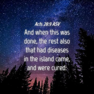 Picture 04 - Acts 28:9 ASV - And when this was done, the rest also that had - Bible Verse Picture