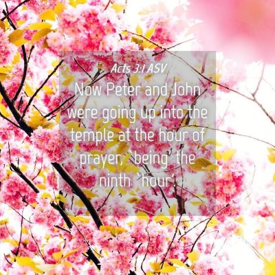 Picture 04 - Acts 3:1 ASV - Now Peter and John were going up into the temple - Bible Verse Picture