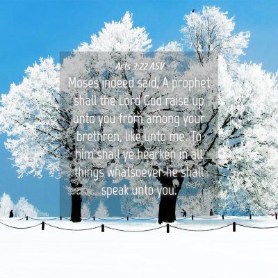 Picture 04 - Acts 3:22 ASV - Moses indeed said, A prophet shall the Lord God - Bible Verse Picture