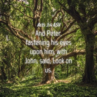 Picture 04 - Acts 3:4 ASV - And Peter, fastening his eyes upon him, with - Bible Verse Picture