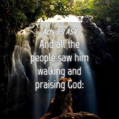 Picture 04 - Acts 3:9 ASV - And all the people saw him walking and praising - Bible Verse Picture