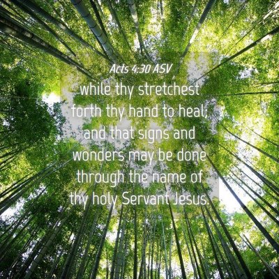 Picture 04 - Acts 4:30 ASV - while thy stretchest forth thy hand to heal; and - Bible Verse Picture