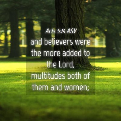 Picture 04 - Acts 5:14 ASV - and believers were the more added to the Lord, - Bible Verse Picture