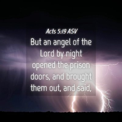 Picture 04 - Acts 5:19 ASV - But an angel of the Lord by night opened the - Bible Verse Picture
