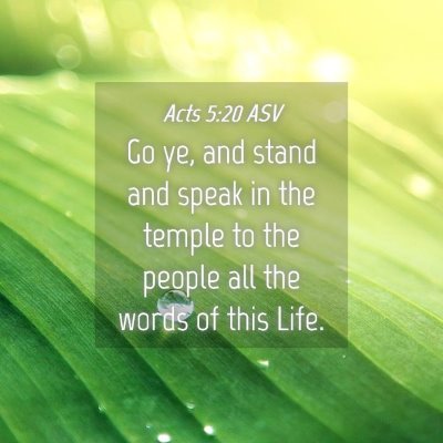 Picture 04 - Acts 5:20 ASV - Go ye, and stand and speak in the temple to the - Bible Verse Picture