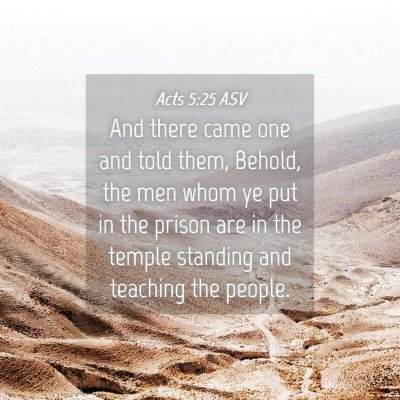 Picture 04 - Acts 5:25 ASV - And there came one and told them, Behold, the men - Bible Verse Picture