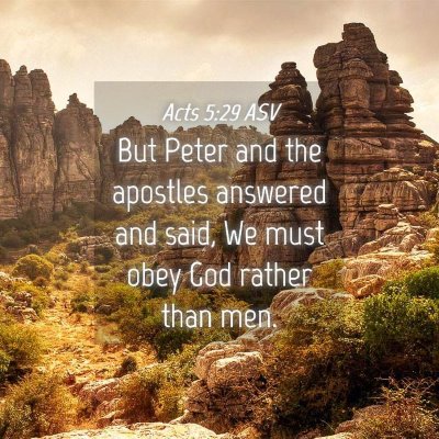 Picture 04 - Acts 5:29 ASV - But Peter and the apostles answered and said, We - Bible Verse Picture