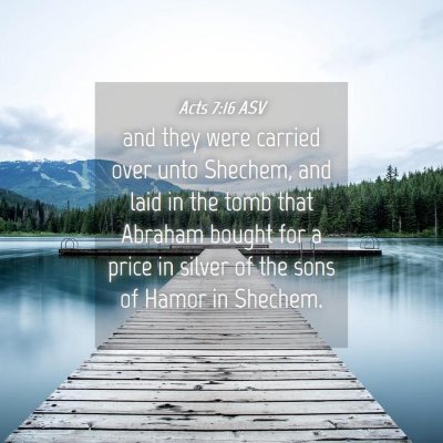 Picture 04 - Acts 7:16 ASV - and they were carried over unto Shechem, and laid - Bible Verse Picture