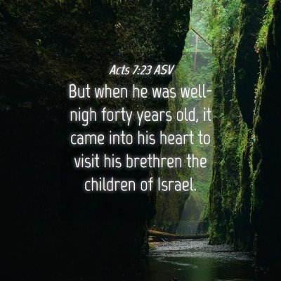 Picture 04 - Acts 7:23 ASV - But when he was well-nigh forty years old, it - Bible Verse Picture