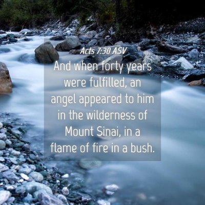 Picture 04 - Acts 7:30 ASV - And when forty years were fulfilled, an angel - Bible Verse Picture