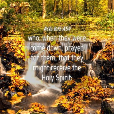 Picture 04 - Acts 8:15 ASV - who, when they were come down, prayed for them, - Bible Verse Picture