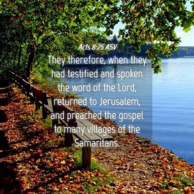 Picture 04 - Acts 8:25 ASV - They therefore, when they had testified and - Bible Verse Picture