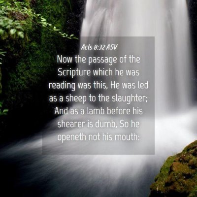 Picture 04 - Acts 8:32 ASV - Now the passage of the Scripture which he was - Bible Verse Picture