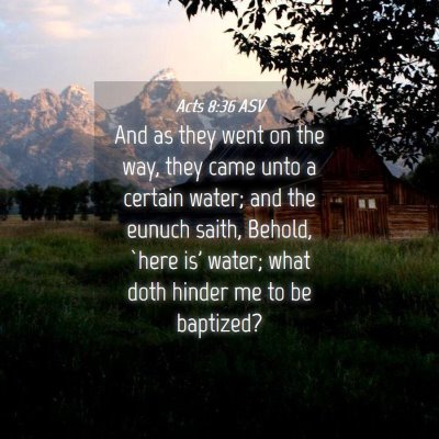 Picture 04 - Acts 8:36 ASV - And as they went on the way, they came unto a - Bible Verse Picture
