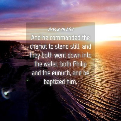 Picture 04 - Acts 8:38 ASV - And he commanded the chariot to stand still: and - Bible Verse Picture