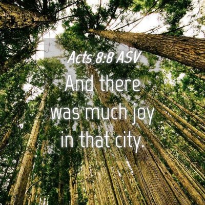 Picture 04 - Acts 8:8 ASV - And there was much joy in that - Bible Verse Picture