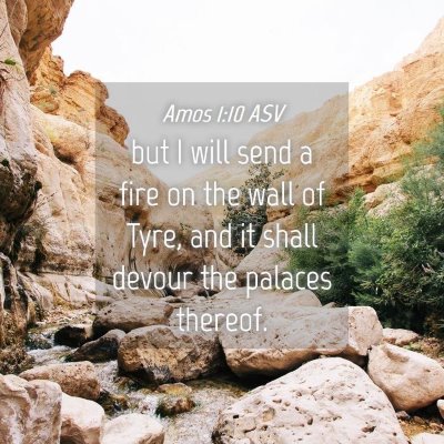 Picture 04 - Amos 1:10 ASV - but I will send a fire on the wall of Tyre, and - Bible Verse Picture
