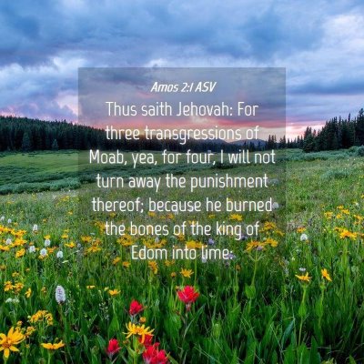 Picture 04 - Amos 2:1 ASV - Thus saith Jehovah: For three transgressions of - Bible Verse Picture