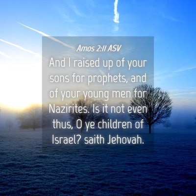 Picture 04 - Amos 2:11 ASV - And I raised up of your sons for prophets, and of - Bible Verse Picture